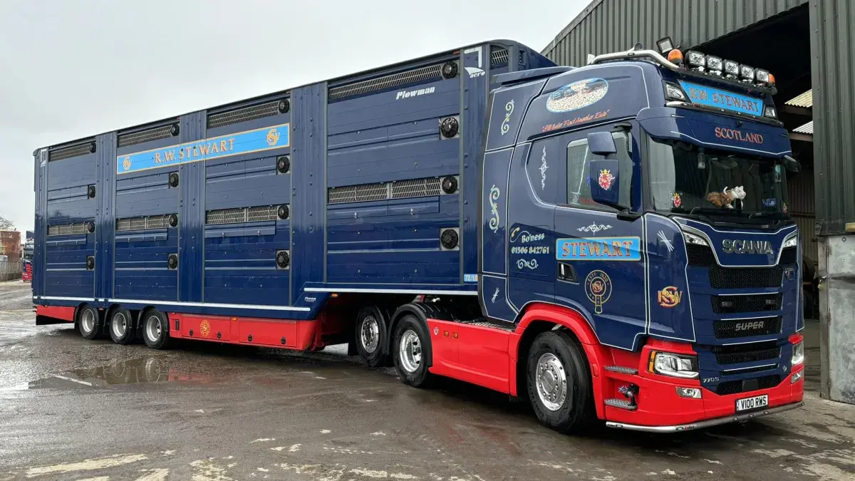 Scottish livestock transport