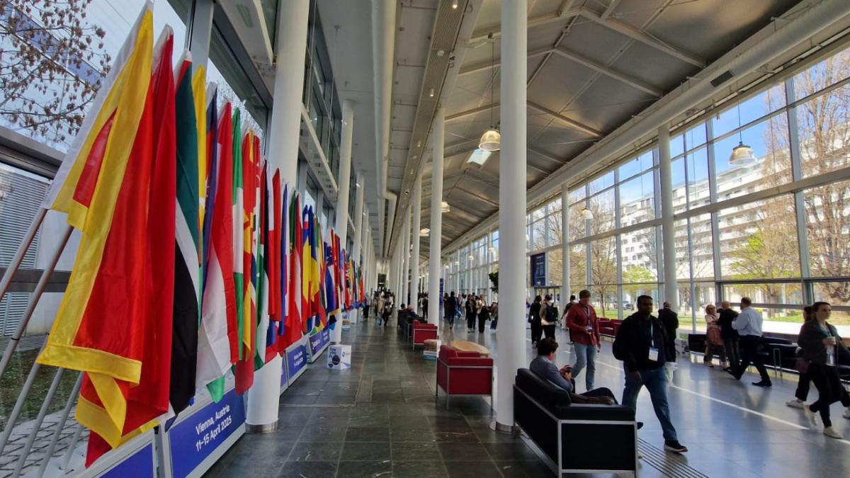 Global voices