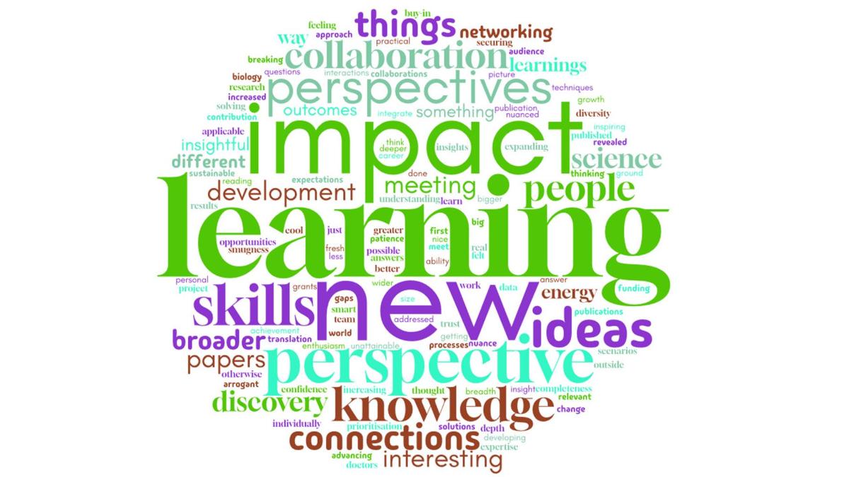 word cloud 