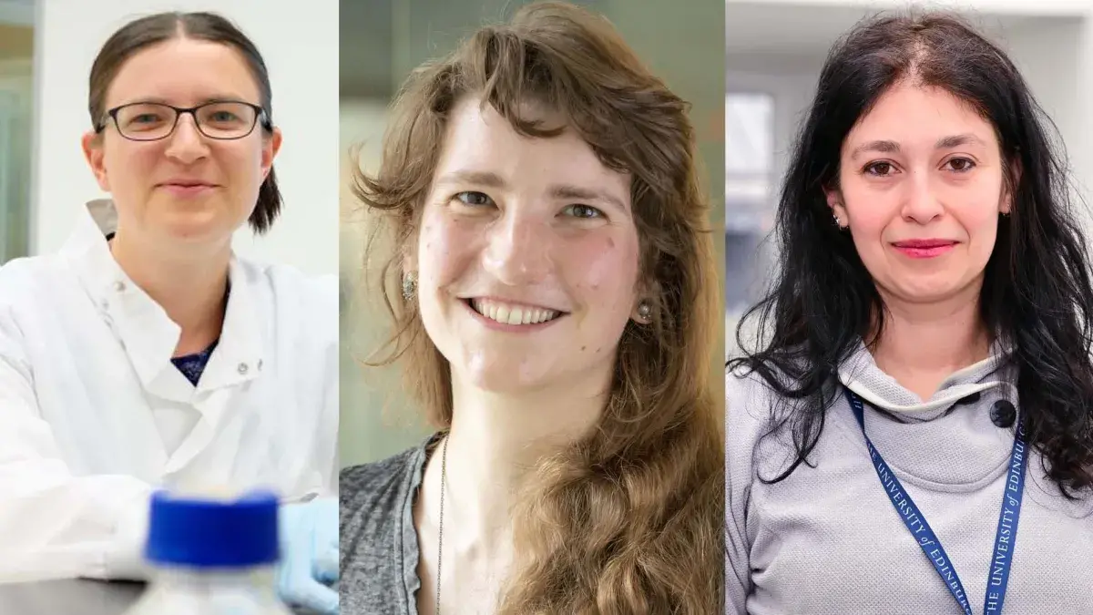 BBSRC fellowship holders