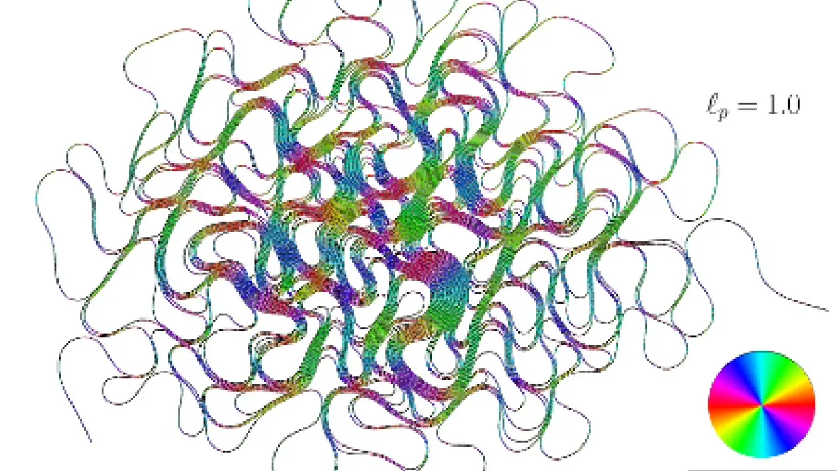 Physics of medicine image