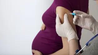 Pregnancy vaccine