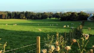 University of Glasgow Cochno Farm
