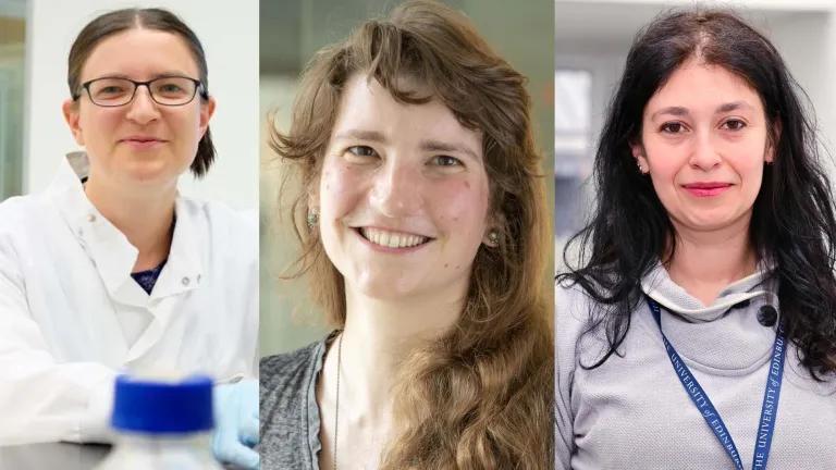 BBSRC fellowship holders