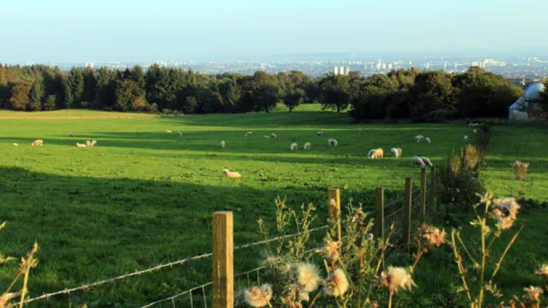  University of Glasgow Cochno Farm