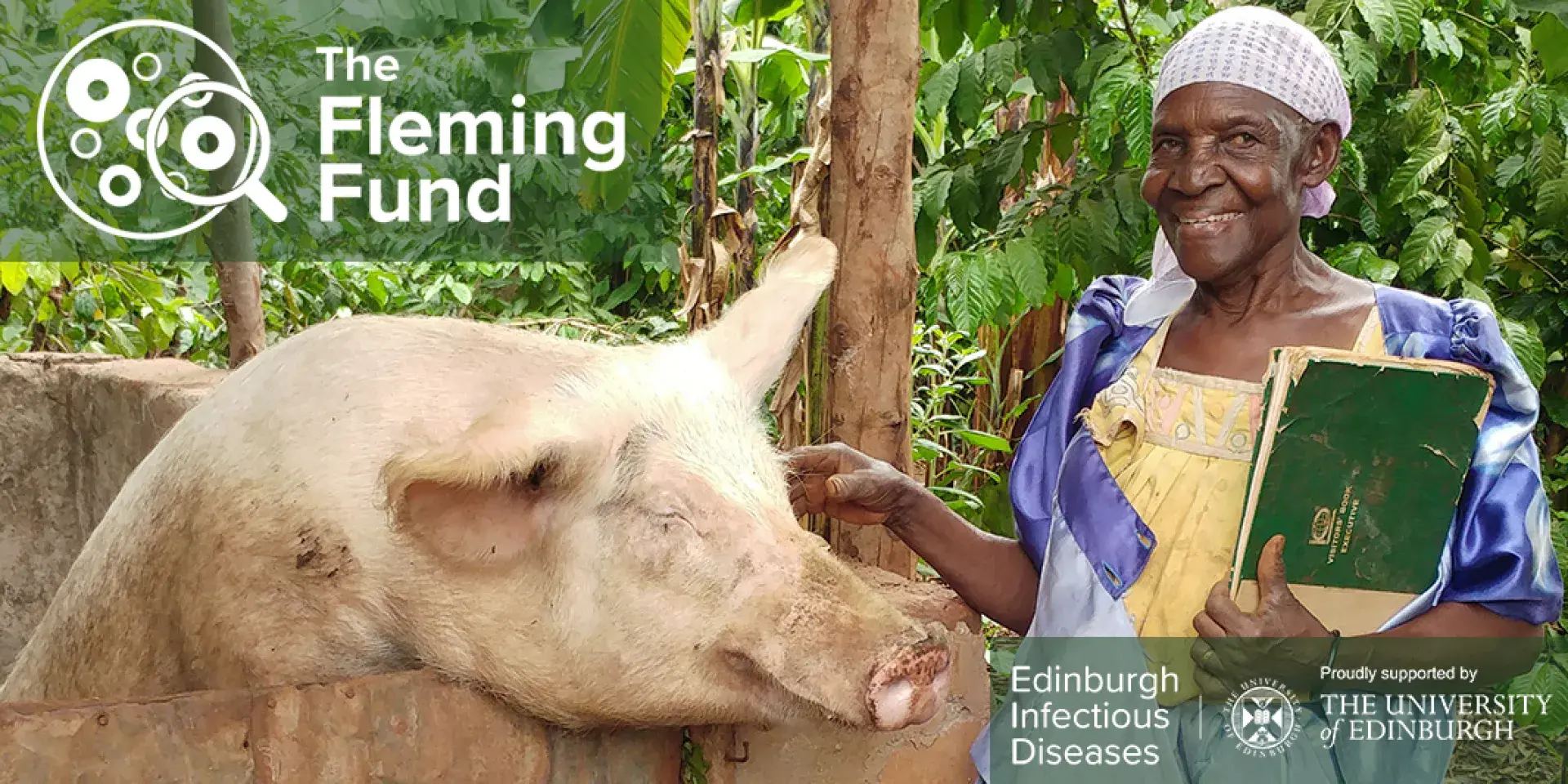 African lady with a large pig