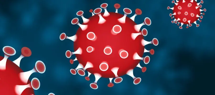 3d illustration of several Covid-19 virus particles