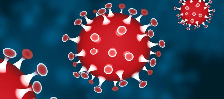 3d illustration of several Covid-19 virus particles