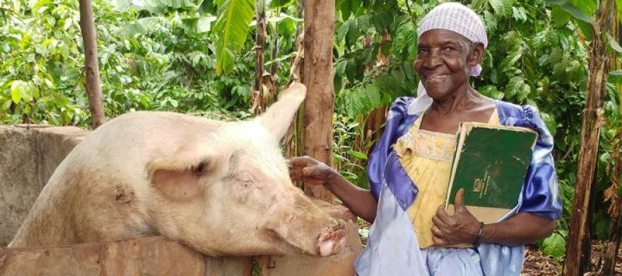 Lady pig farmer near Jinja Uganda