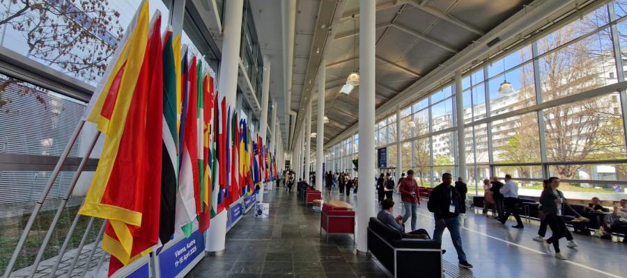 Global voices