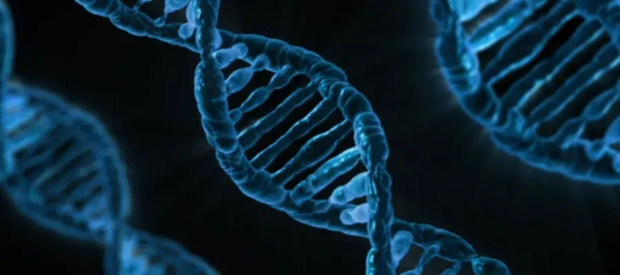 dna