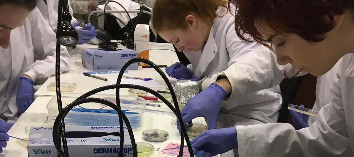 \"Painting\" with bacteria