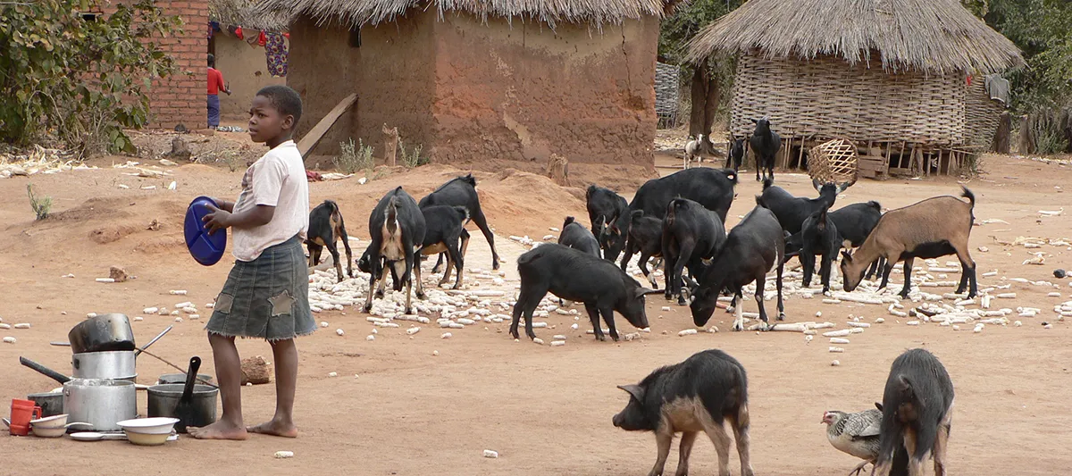 Young girl in rural African village