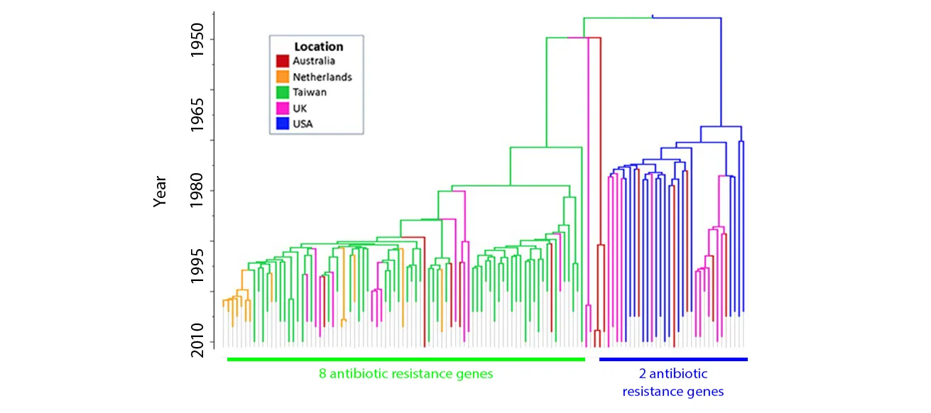 Emergence of AMR in CA MRSA