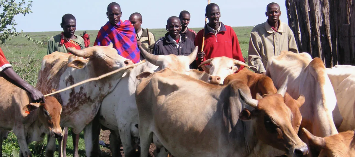 Herdsmen in Africa