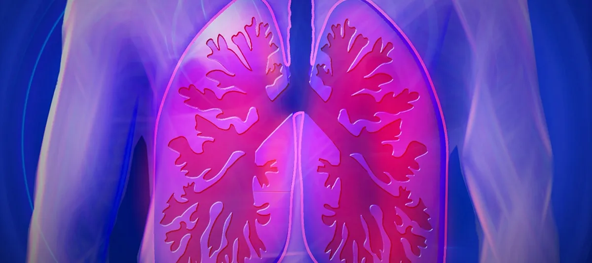 Image of lungs