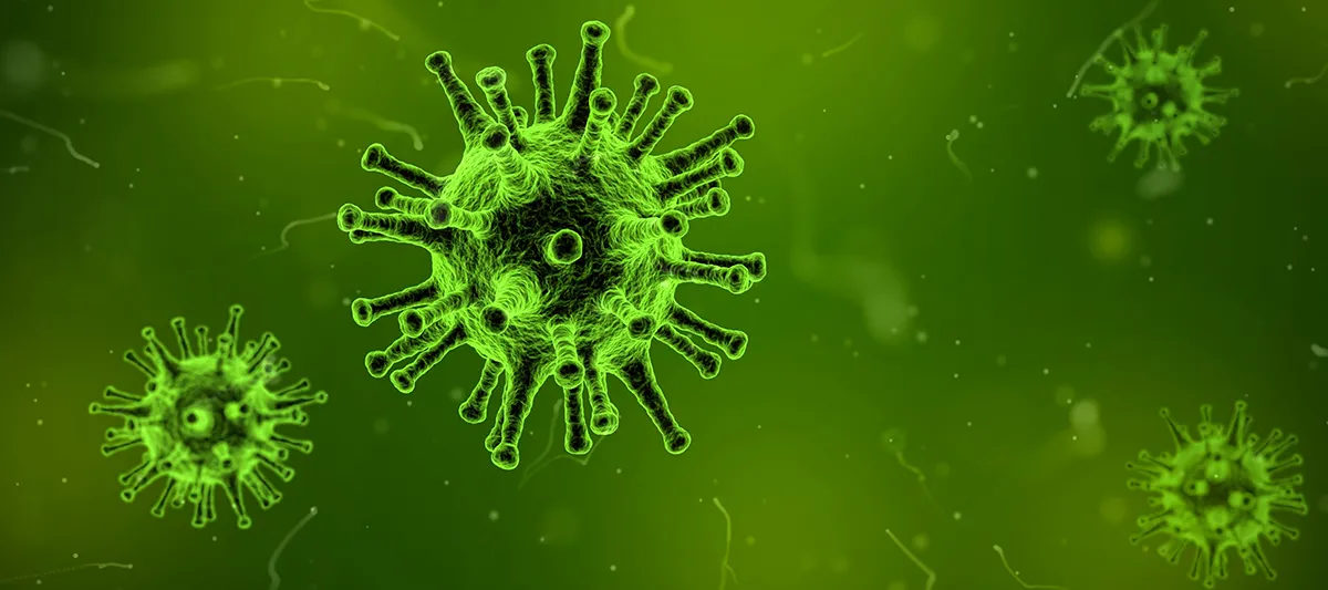 virus