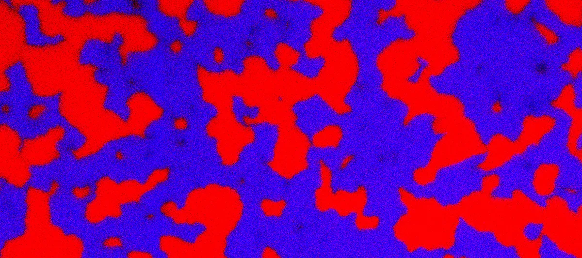 Segregation of bacteria into domains