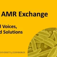The AMR Exchange visual