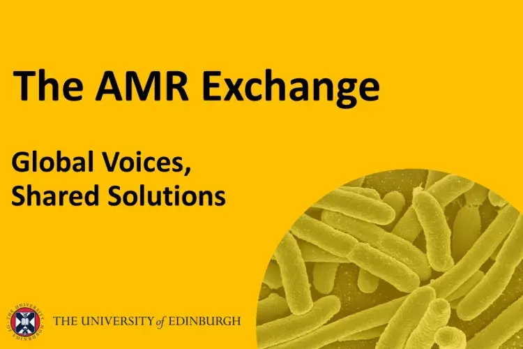The AMR Exchange visual
