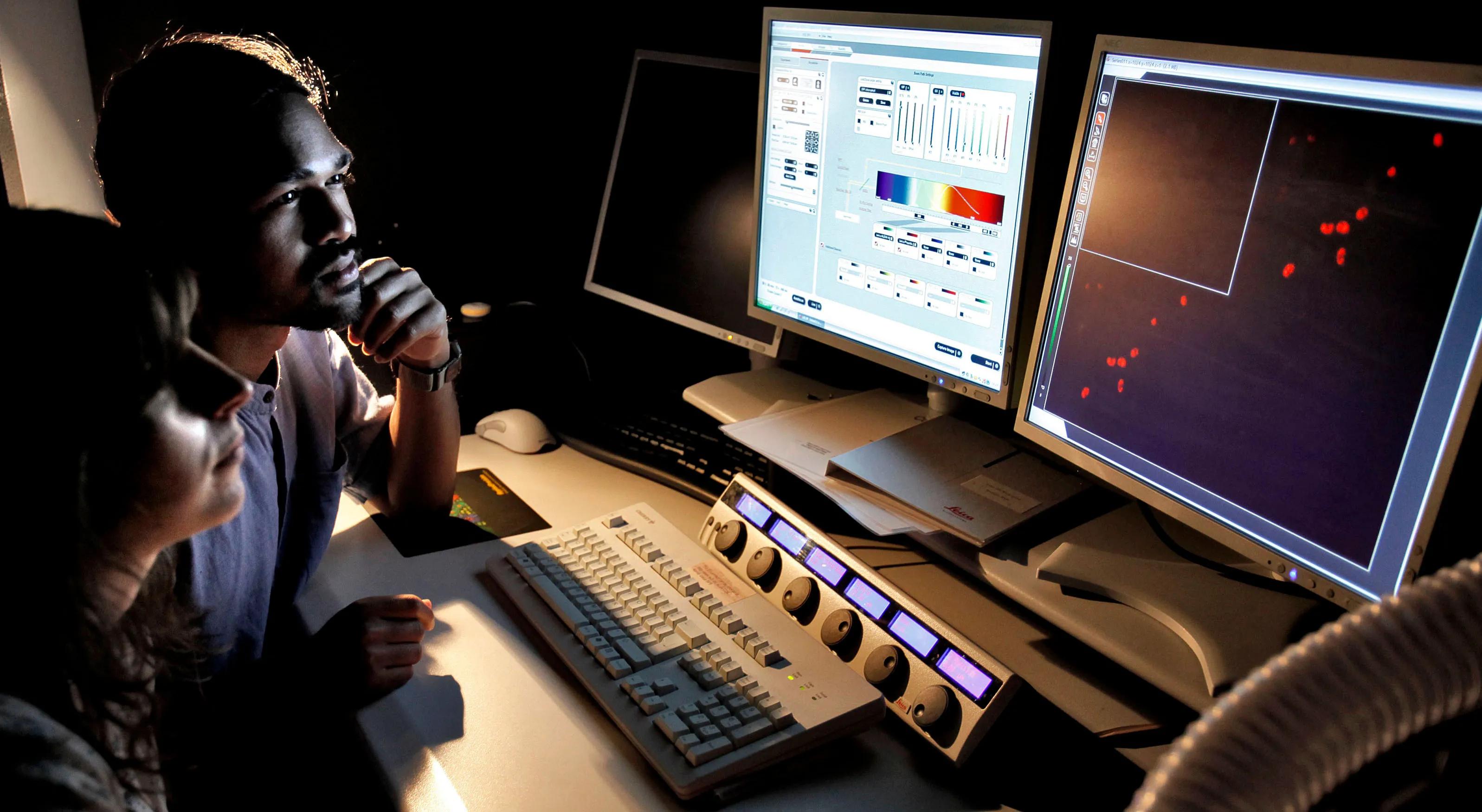 Two students analyse microscopy data