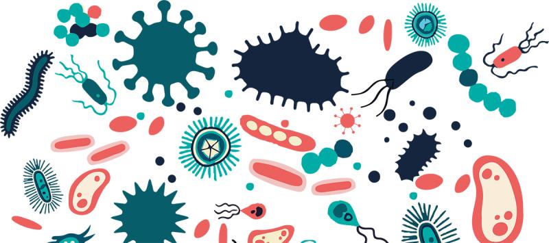 cartoon of infectious diseases