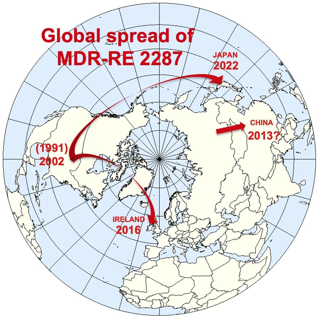 Map of northern hemisphere showing spread of bacteria