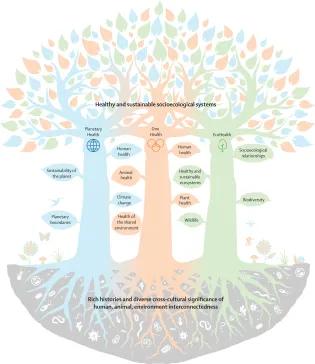 LANCET ONE HEALTH COMMISSION