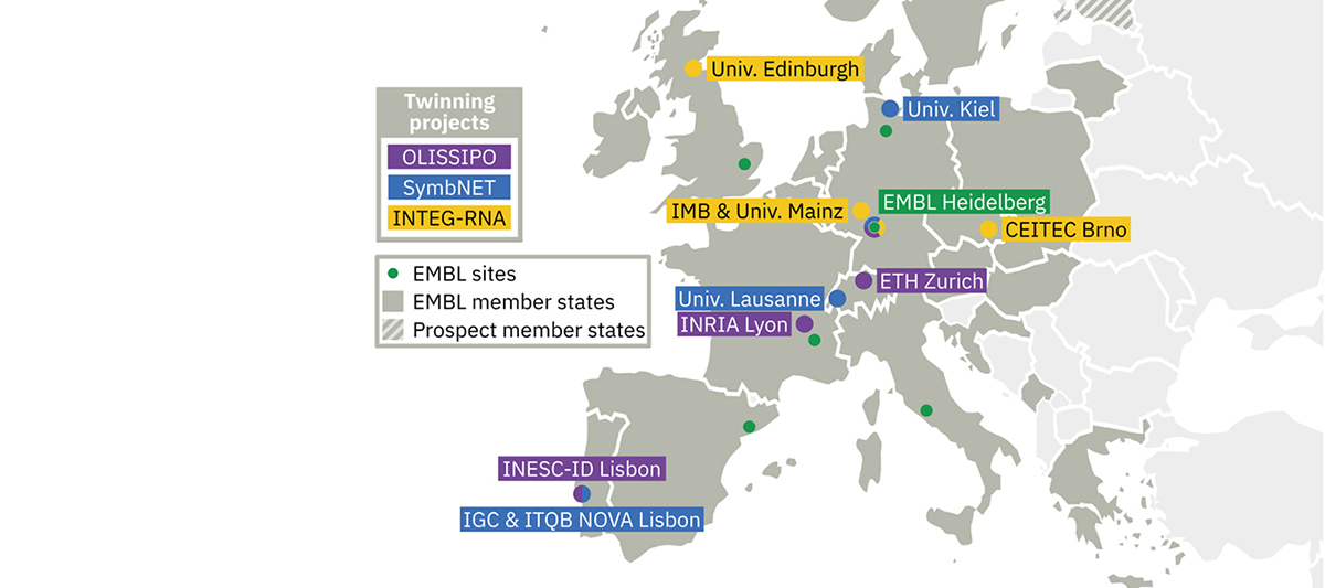 EMBL twinnign projects map