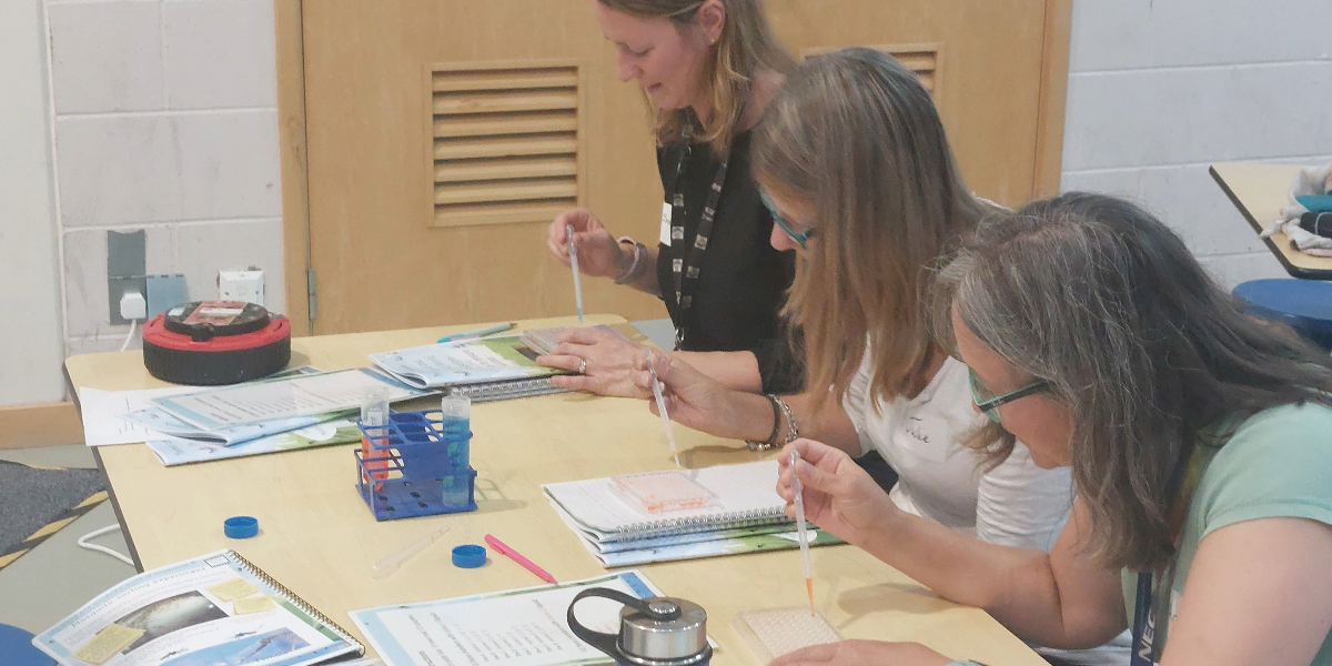 Teachers participating in training programme