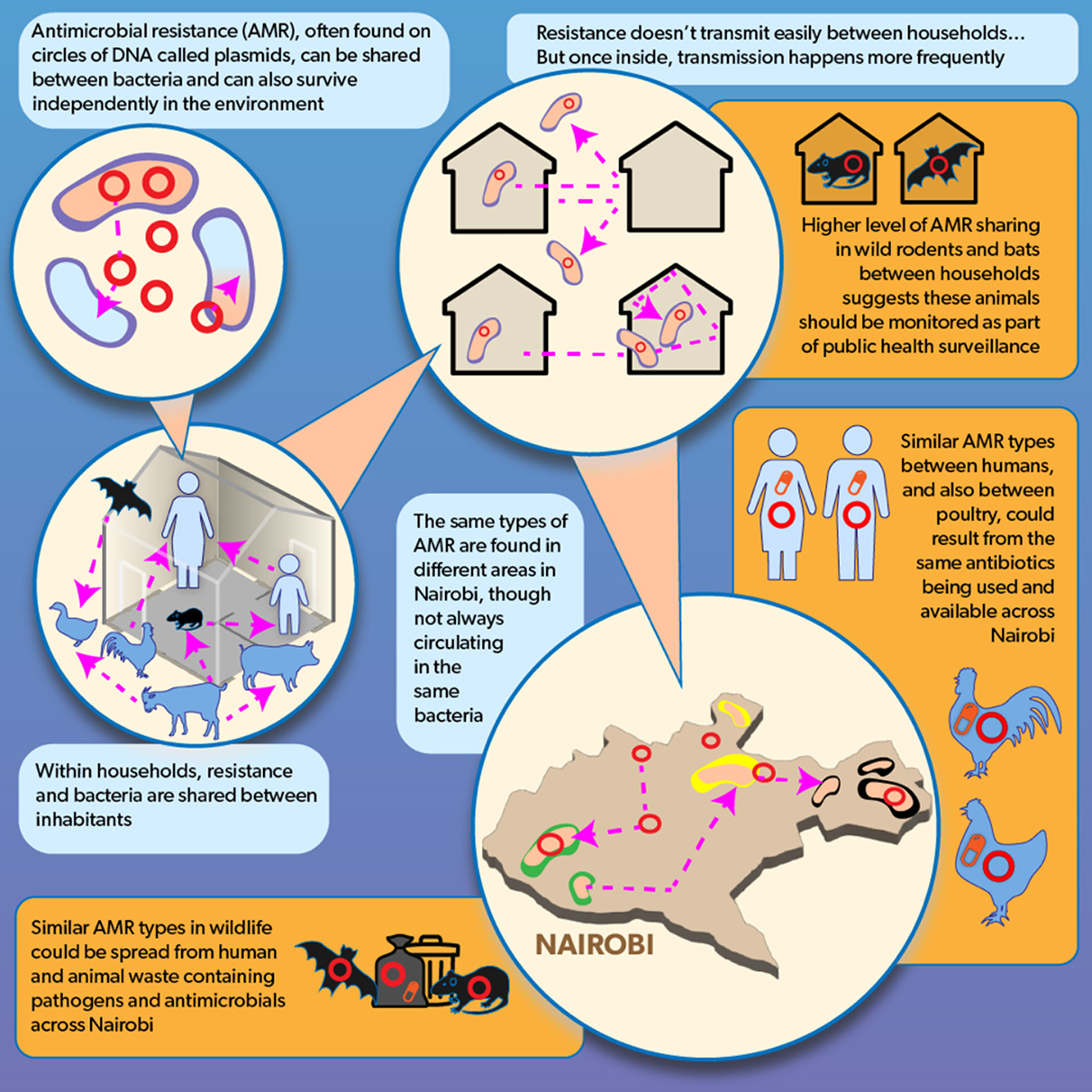 Model of pathogen transmission in urban landscapes