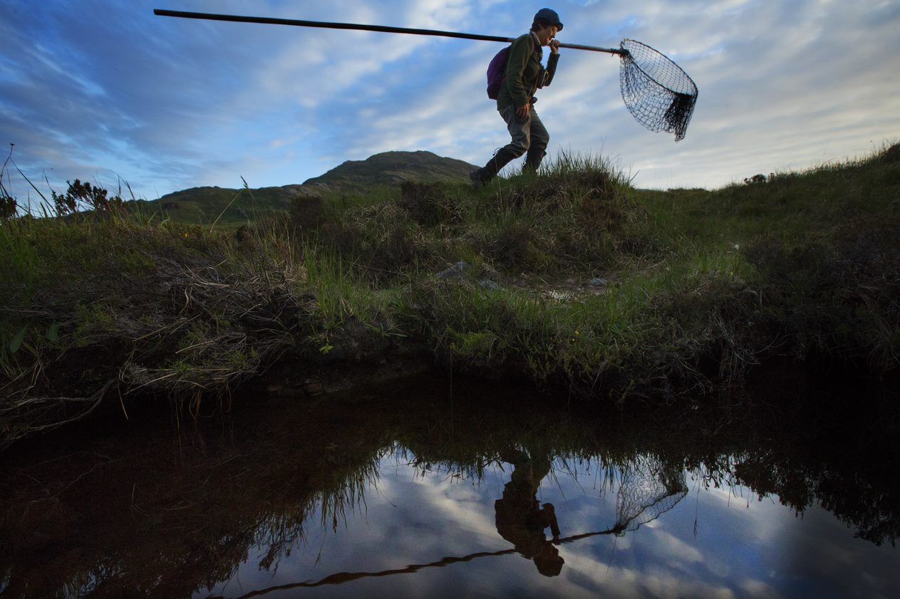 researcher carrying a net