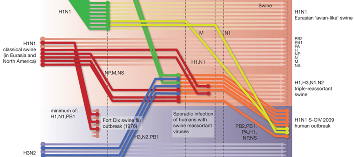 Molecular evolution, phylogenetics and epidemiology - Andrew Rambaut ...