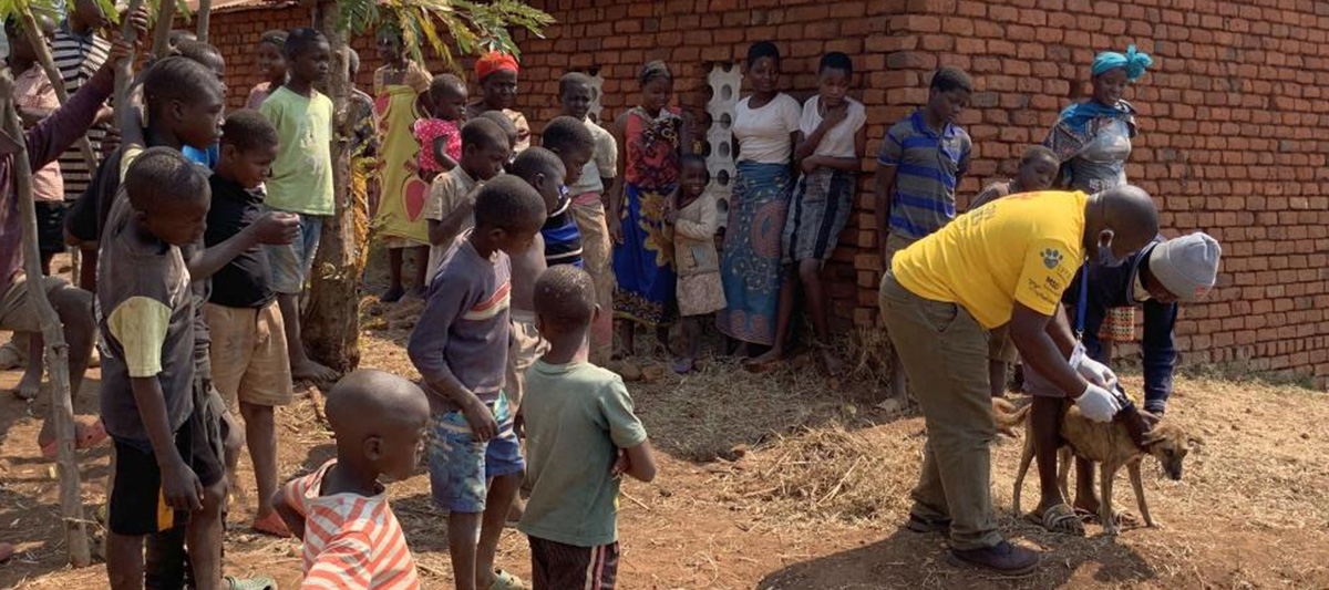 Mission Rabies vaccination in Malawi