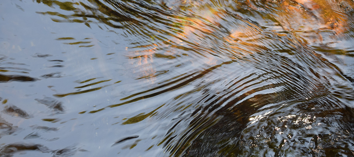 Water running away to a drain